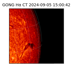 gong - 2024-09-05T15:00:42