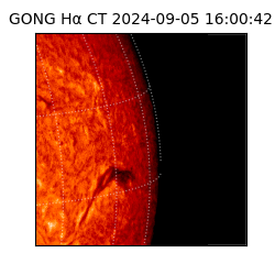 gong - 2024-09-05T16:00:42