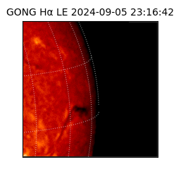 gong - 2024-09-05T23:16:42