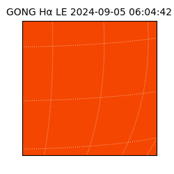 gong - 2024-09-05T06:04:42