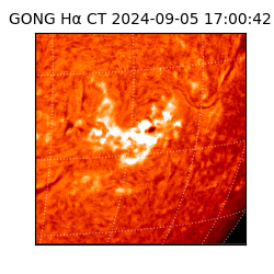 gong - 2024-09-05T17:00:42