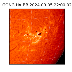 gong - 2024-09-05T22:00:02