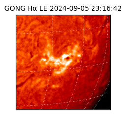 gong - 2024-09-05T23:16:42