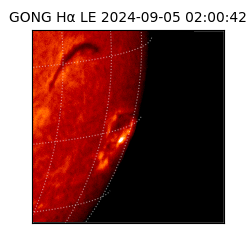 gong - 2024-09-05T02:00:42