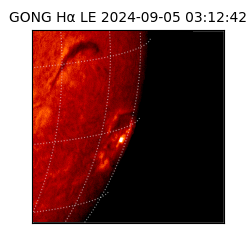 gong - 2024-09-05T03:12:42