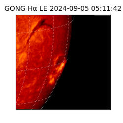 gong - 2024-09-05T05:11:42