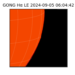 gong - 2024-09-05T06:04:42