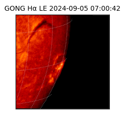 gong - 2024-09-05T07:00:42