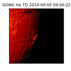 gong - 2024-09-05T09:00:22