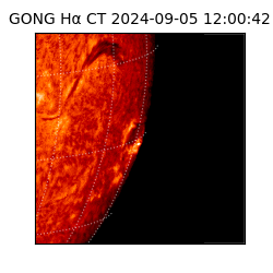 gong - 2024-09-05T12:00:42