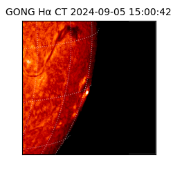 gong - 2024-09-05T15:00:42