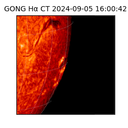 gong - 2024-09-05T16:00:42