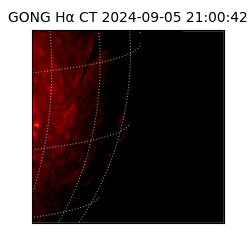 gong - 2024-09-05T21:00:42