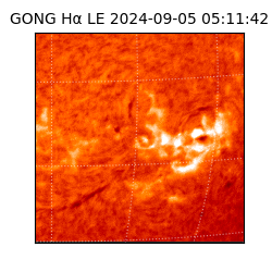 gong - 2024-09-05T05:11:42