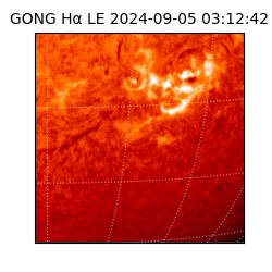 gong - 2024-09-05T03:12:42