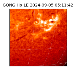 gong - 2024-09-05T05:11:42