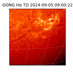 gong - 2024-09-05T09:00:22