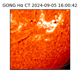 gong - 2024-09-05T16:00:42