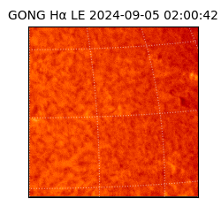 gong - 2024-09-05T02:00:42