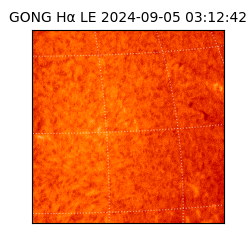 gong - 2024-09-05T03:12:42