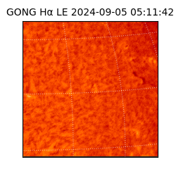 gong - 2024-09-05T05:11:42