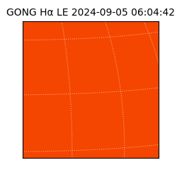 gong - 2024-09-05T06:04:42