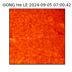 gong - 2024-09-05T07:00:42