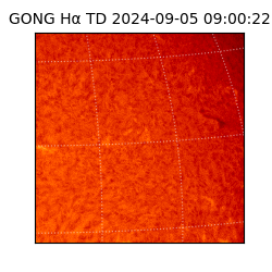 gong - 2024-09-05T09:00:22