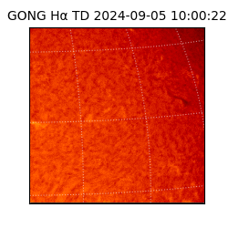 gong - 2024-09-05T10:00:22