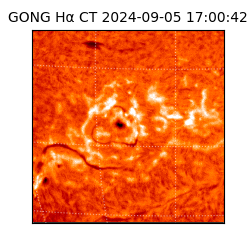 gong - 2024-09-05T17:00:42