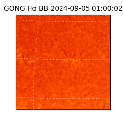 gong - 2024-09-05T01:00:02