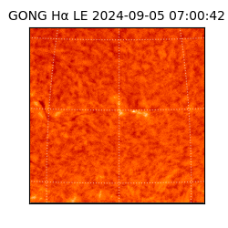 gong - 2024-09-05T07:00:42