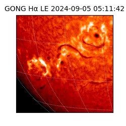 gong - 2024-09-05T05:11:42