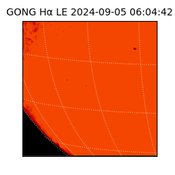 gong - 2024-09-05T06:04:42