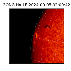 gong - 2024-09-05T02:00:42