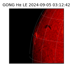 gong - 2024-09-05T03:12:42