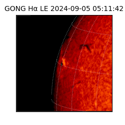 gong - 2024-09-05T05:11:42