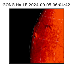 gong - 2024-09-05T06:04:42