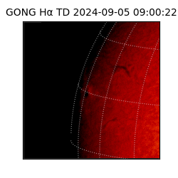 gong - 2024-09-05T09:00:22