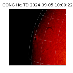 gong - 2024-09-05T10:00:22