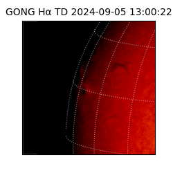 gong - 2024-09-05T13:00:22