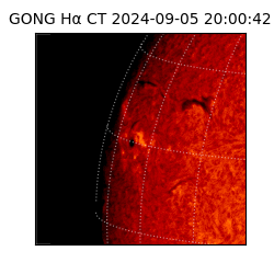 gong - 2024-09-05T20:00:42