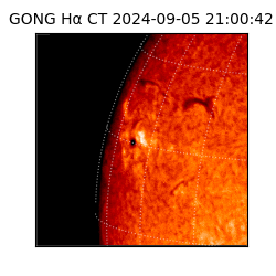 gong - 2024-09-05T21:00:42