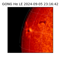 gong - 2024-09-05T23:16:42