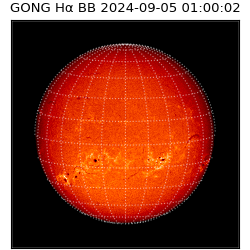 gong - 2024-09-05T01:00:02