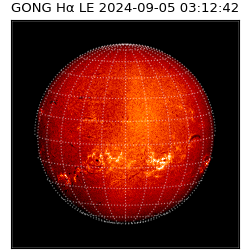 gong - 2024-09-05T03:12:42