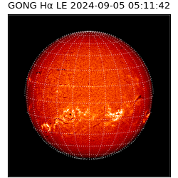 gong - 2024-09-05T05:11:42