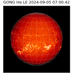 gong - 2024-09-05T07:00:42