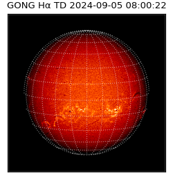 gong - 2024-09-05T08:00:22