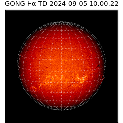 gong - 2024-09-05T10:00:22